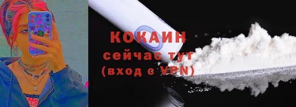 хмурый Абаза