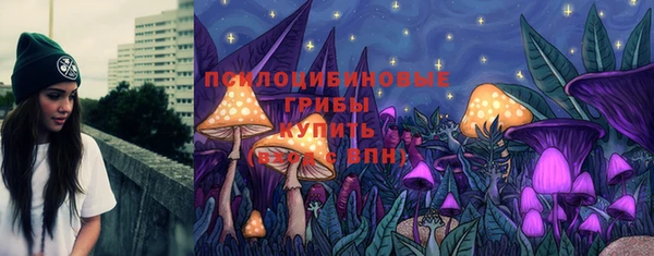 молекула духа Алексеевка