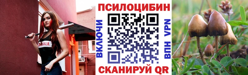 Галлюциногенные грибы Cubensis Беломорск