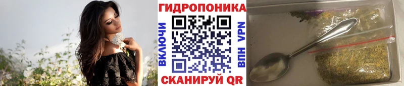 Каннабис White Widow Беломорск